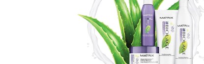 Biolage Repairinside