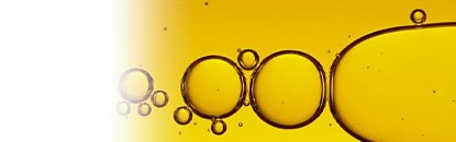 Óleo de Argan e Outros Óleos