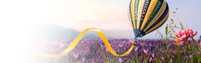 L'Occitane