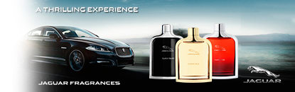 Jaguar Perfumes Masculinos